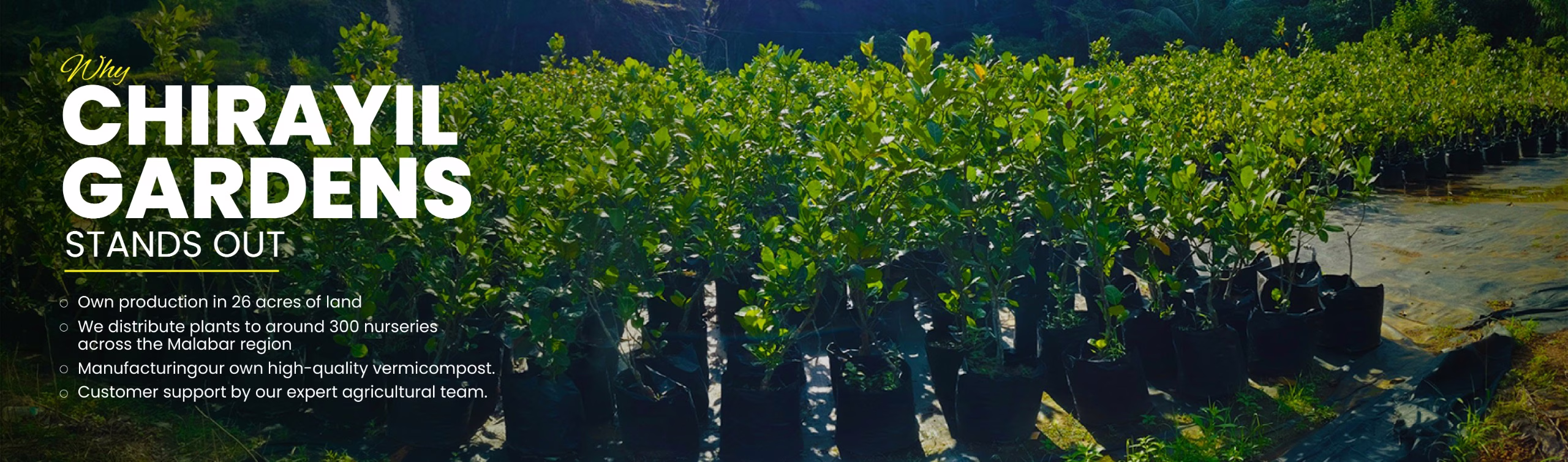 Banner