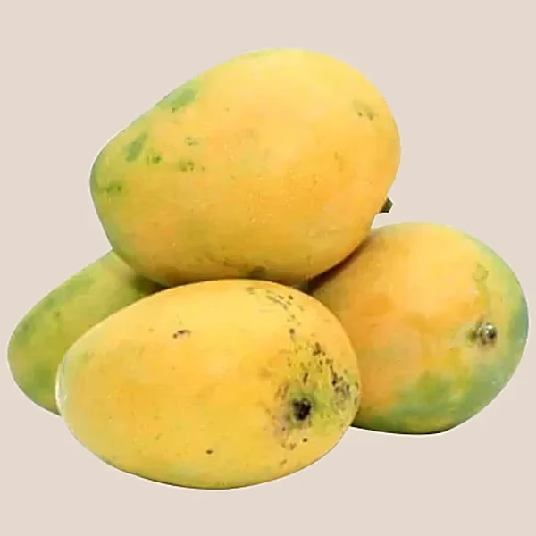 BANGANAPALLI
