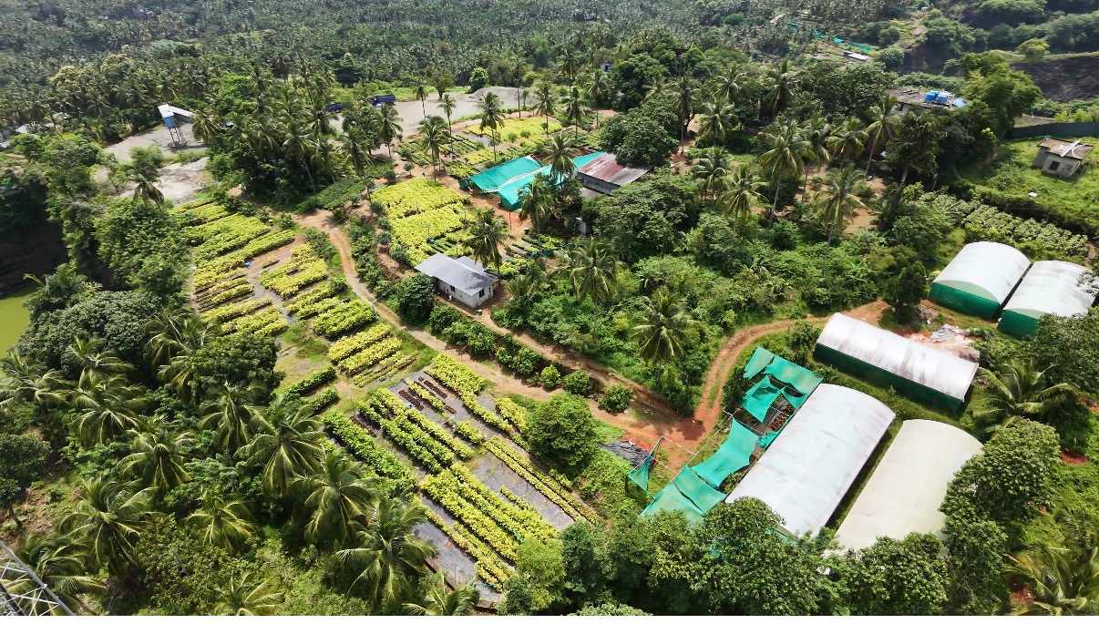 Chirayil Gardens story