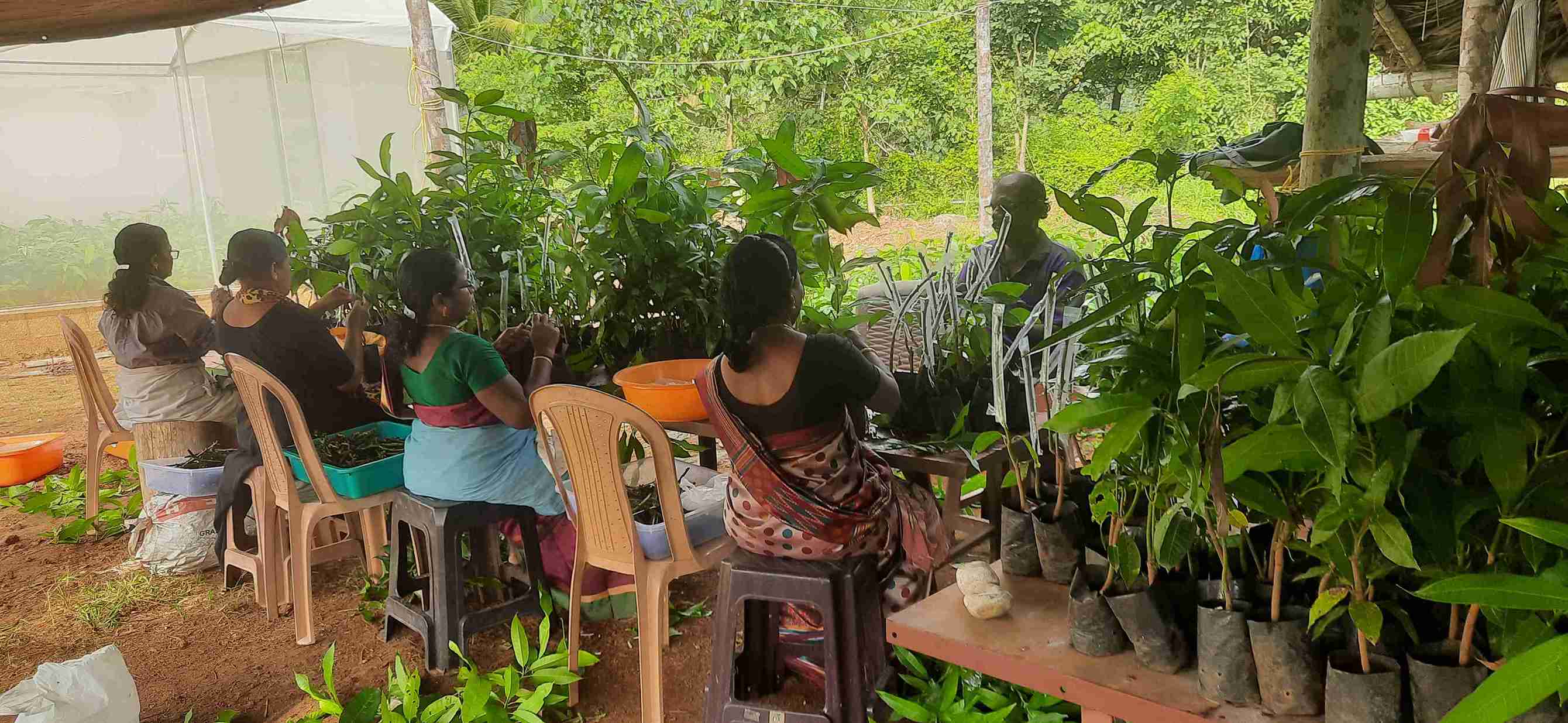 Chirayil Gardens story