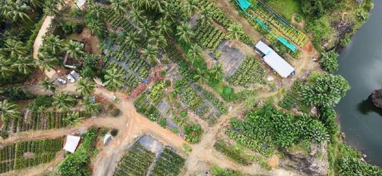 Chirayil Gardens story